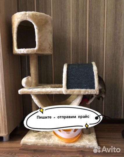 Комплекс для кошки