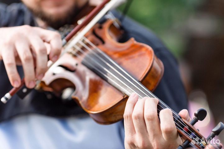 Скрипач на праздник