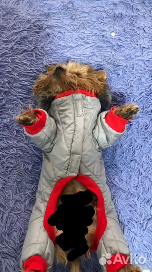 Пуховик для собак