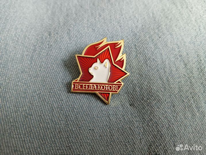 Всегда котов