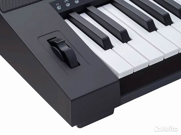 Пианино 21800 и Medeli MK401 Ошеломительный звук