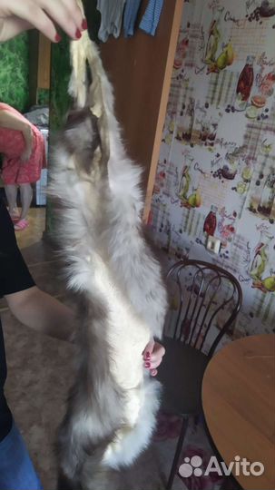 Шкурка животного