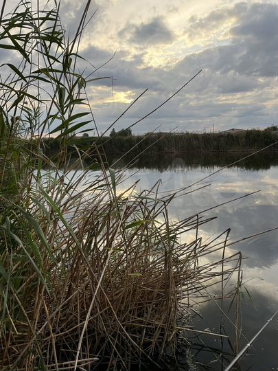 Участок 5,5 га (ИЖС)