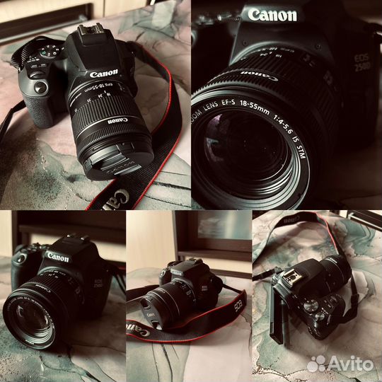 Canon EOS 250D + kit 18-55 mm