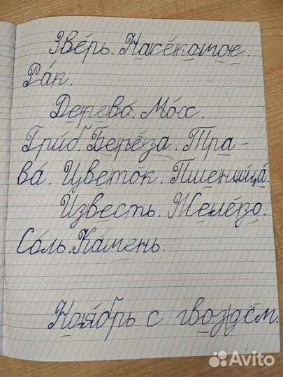 Репетитор. Начальная школа, подготовка к школе