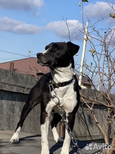 Шикарная Марта