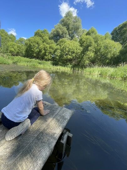 Участок 15 сот. (ИЖС)