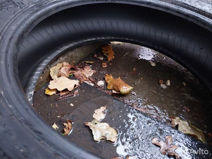 Nokian Tyres Hakkapeliitta 5 185/60 R15