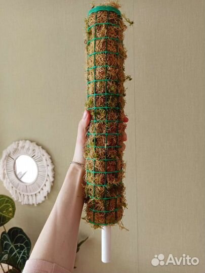 Тотем (опора) для растений