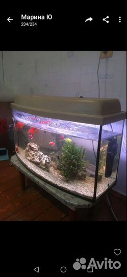 Аквариум