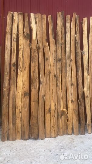 Горбыль липа