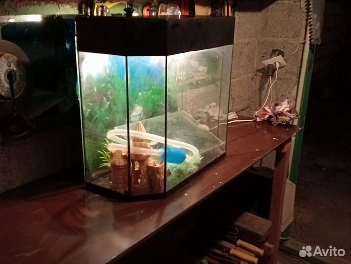 Аквариум