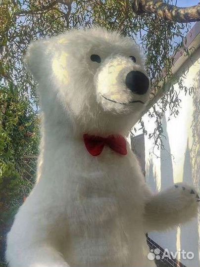 Белый медведь аниматор