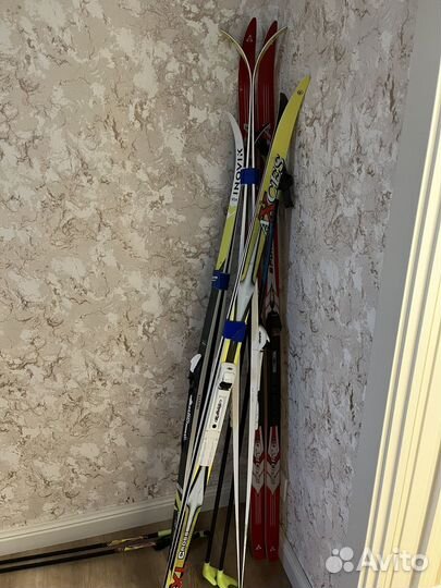 Беговые лыжи