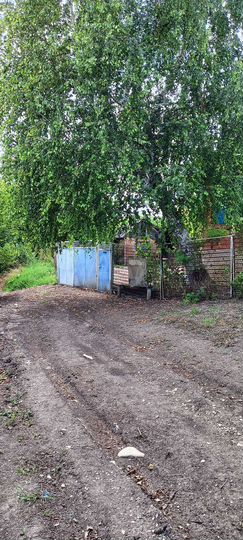 Дом 55,9 м² на участке 40 сот.