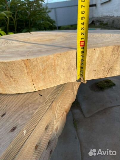 Спил карагача (вяза)