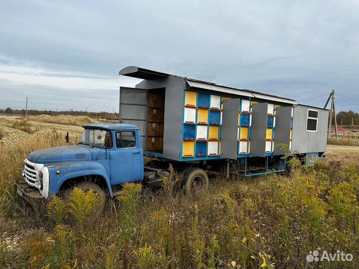 Продаю пасеку