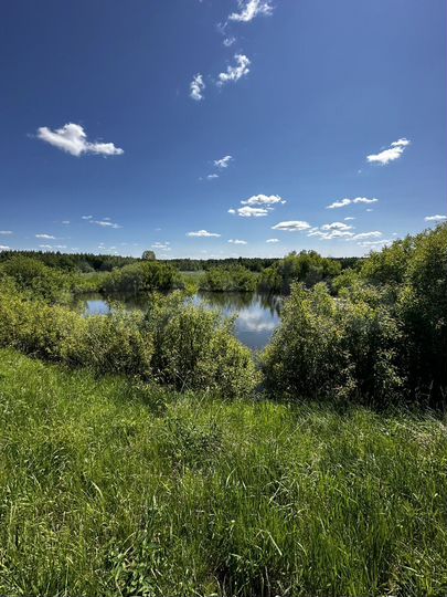 Дом 50,3 м² на участке 14,8 сот.