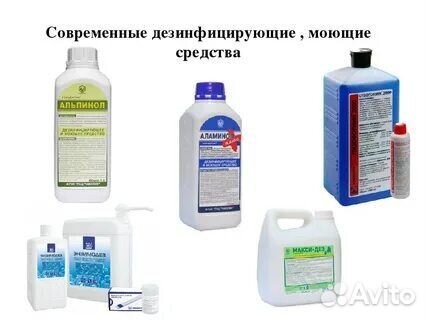 Дезинфекция уничтожение тараканов клопов и муравье