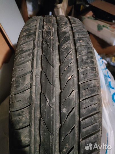 Matador DR1 Hector 195/65 R15