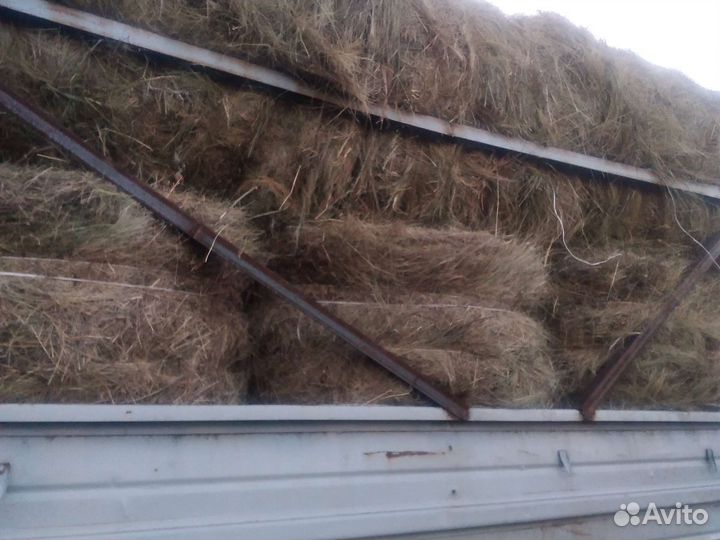 Сено рулонах