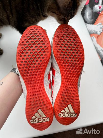 Боксерки adidas