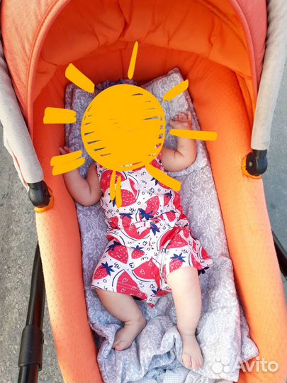 Коляска zippy sport 2 в 1