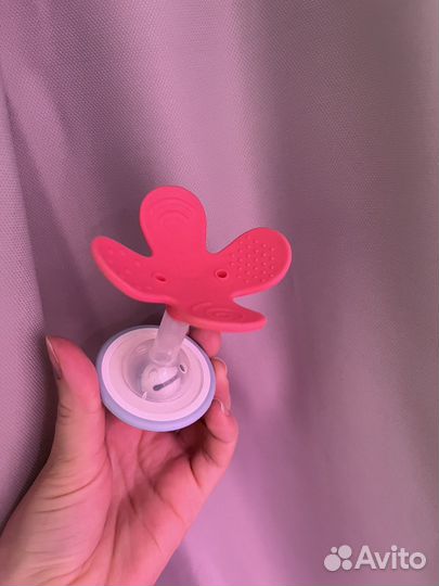 Погремушка-грызунок Pigeon