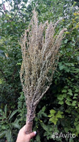 Банный веник из полыни