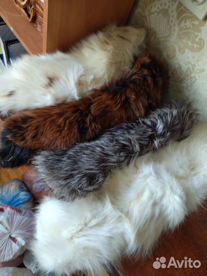 Меховой воротник песец,чернобурка