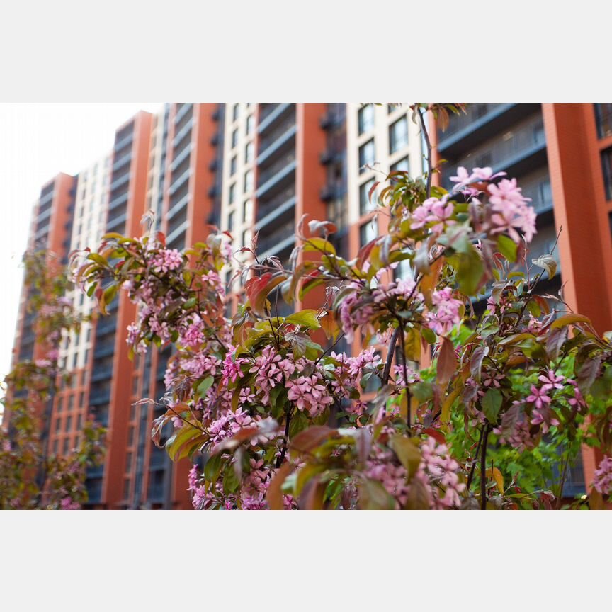 5-к. квартира, 224 м², 14/18 эт.