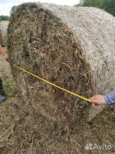 Сено в рулонах с доставкой в Томск