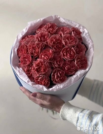 Роскошные Букеты из Свежих Гвоздик доставкой по Кр