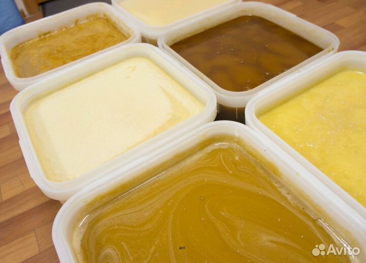 2024 Мед натуральный с Алтая опт