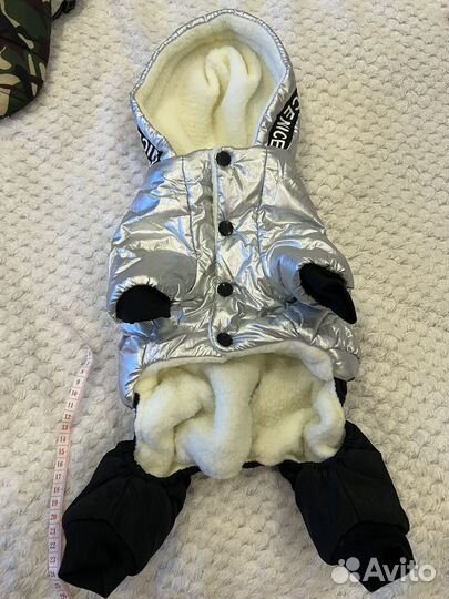 Одежда для собак