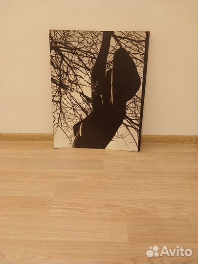 Фото витас луцкус