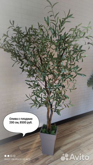 Искусственные деревья Олива, бонсай, бумбук