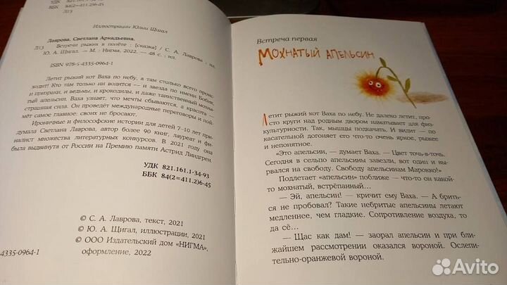 Лаврова Светлана Встречи рыжих в полете