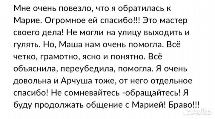 Кинолог, зоопсихолог, дрессировка собак