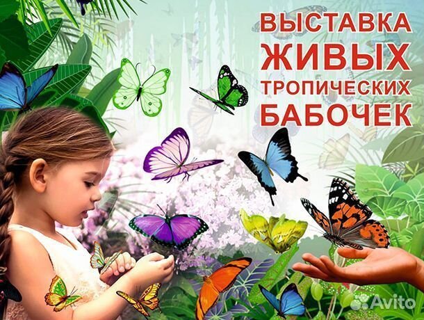 Выставка Живых Тропических Бабочек