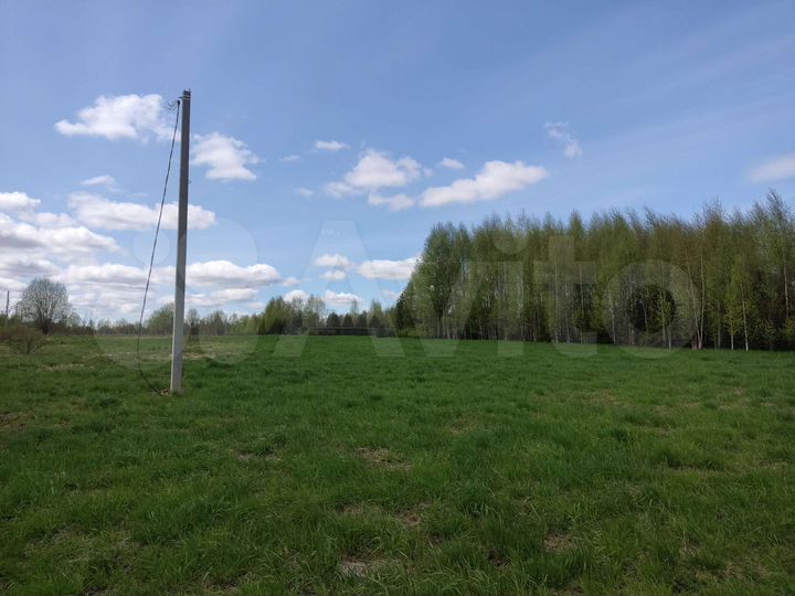 Участок 48 сот. (СНТ, ДНП)