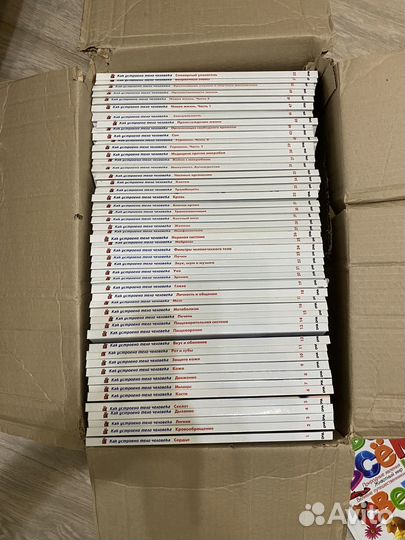 Книги Как устроено тело человека