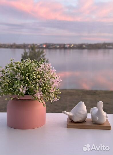 Романтическое свидание для двоих