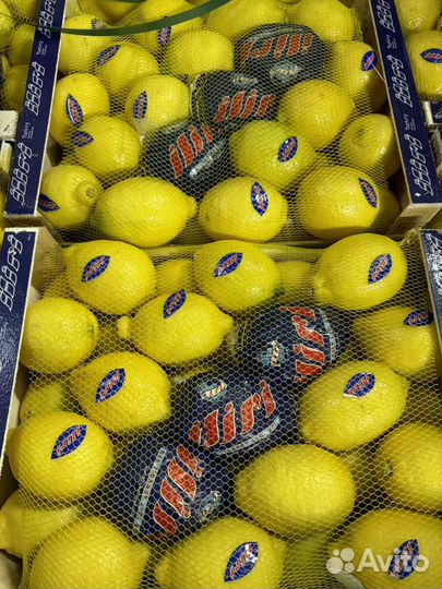 Фрукты оптом и в розницу