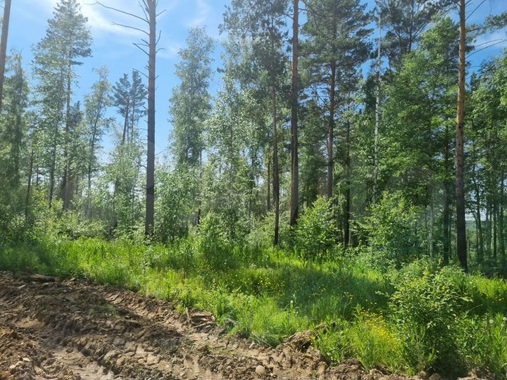 Участок 8 сот. (СНТ, ДНП)