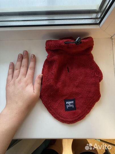 Одежда для собак и кошек