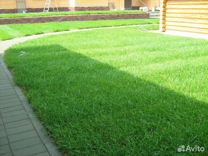 Рулонный газон под ключ