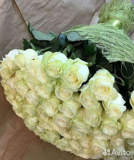 Розы Букеты Цветы Розы 31 101 151 201 Доставка