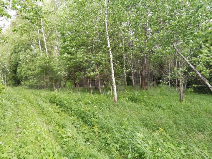 Участок 9 сот. (ИЖС)