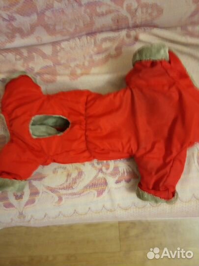 Комбинезоны для собак